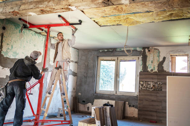 Insulation Contractors for Homes in Town And Country, MO
